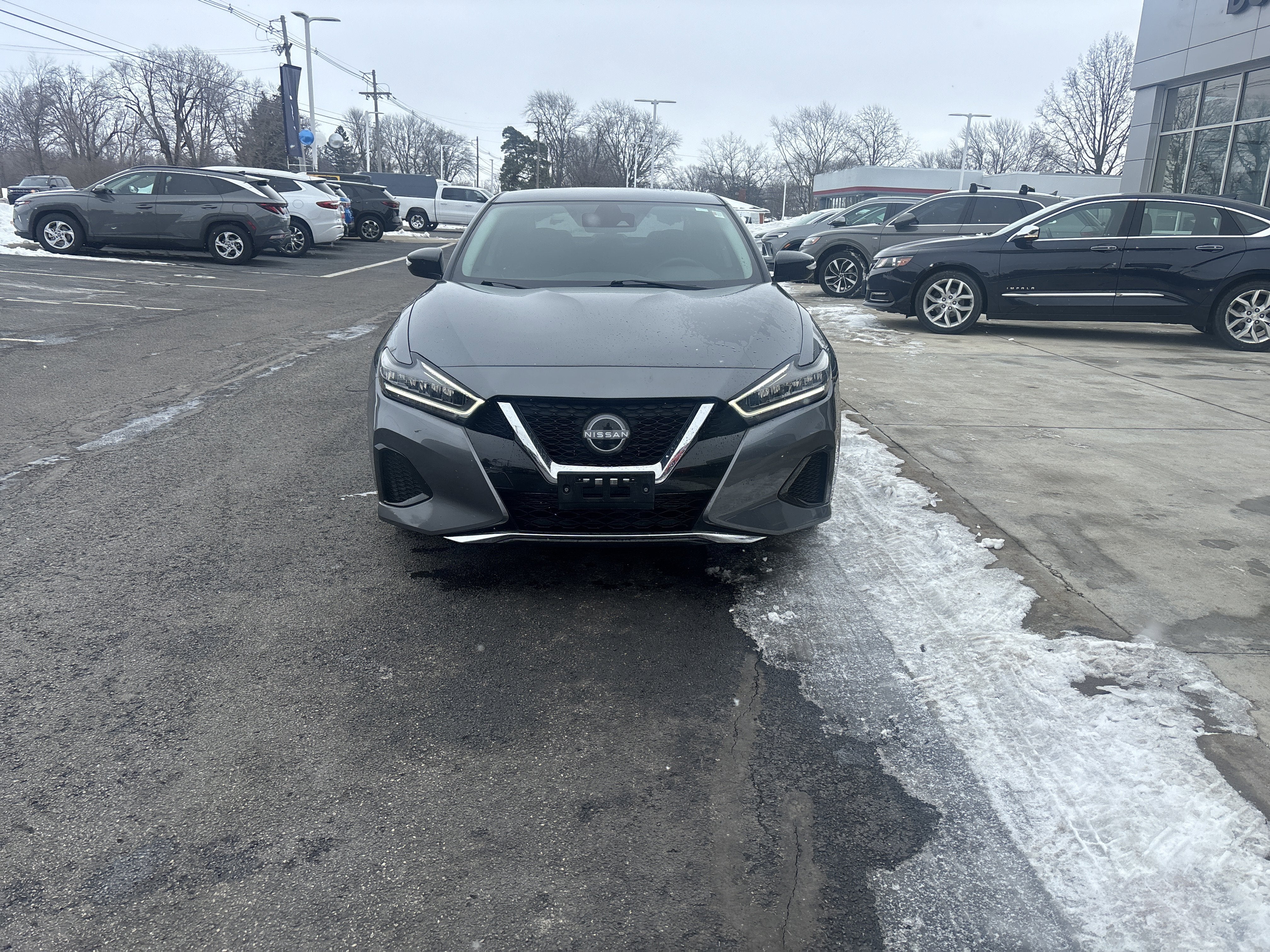 2023 Nissan Maxima SV